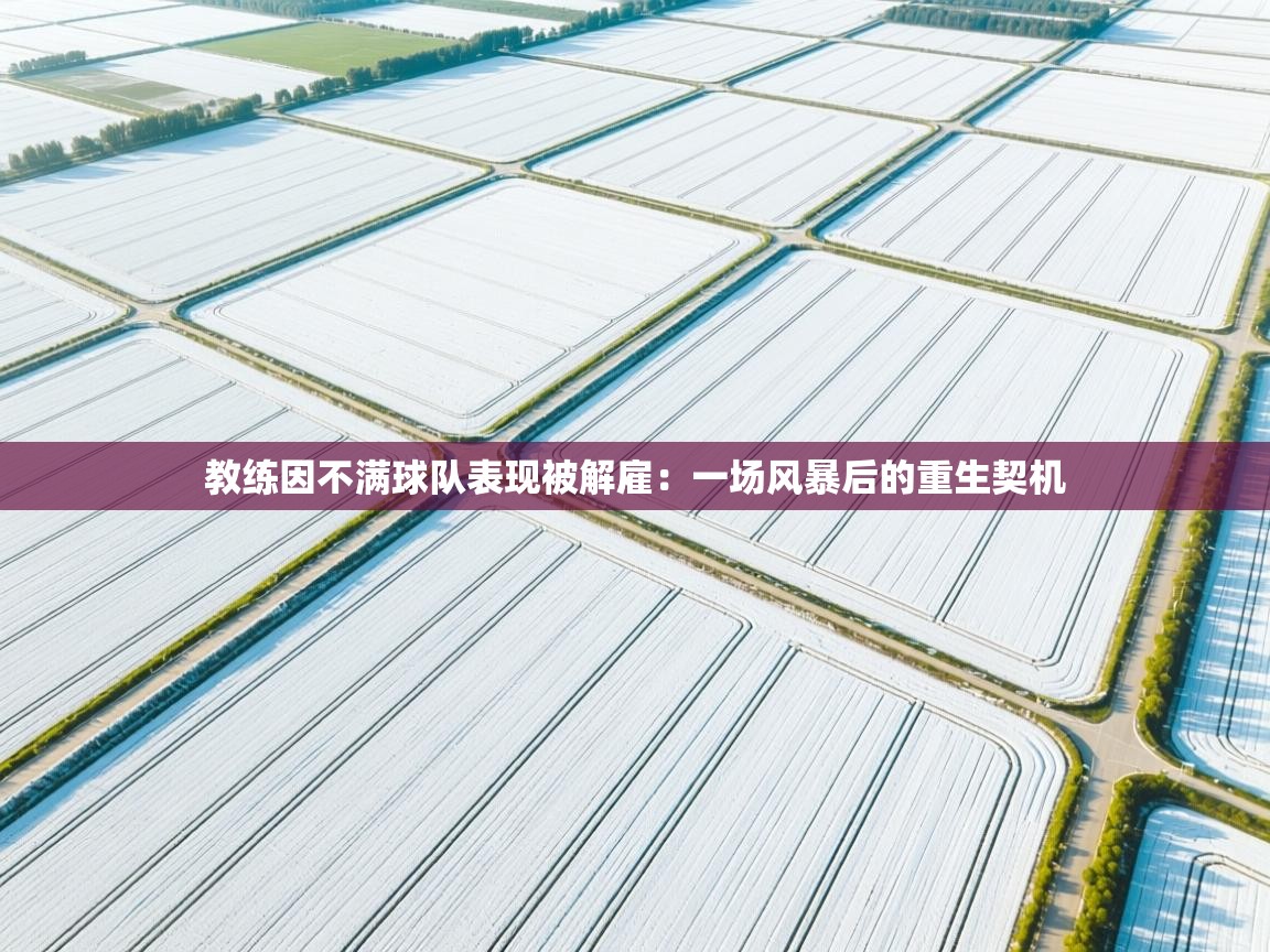 教练因不满球队表现被解雇：一场风暴后的重生契机  第2张